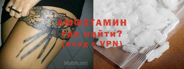 стаф Нея
