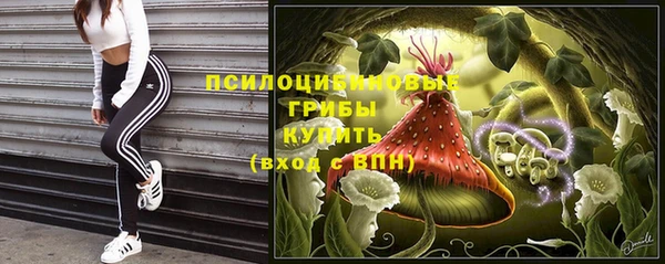 стаф Нея