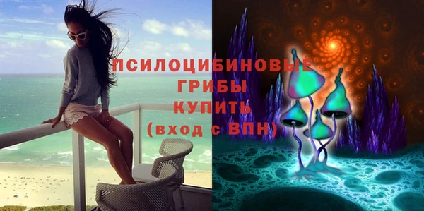 PSILOCYBIN Зерноград