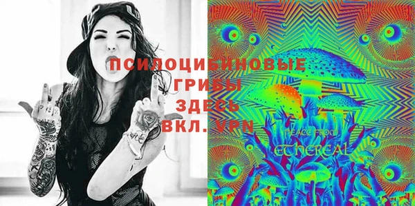 МДПВ Нефтегорск