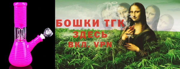 МДПВ Нефтегорск