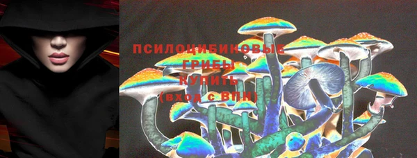 крисы Гусиноозёрск