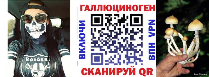 Галлюциногенные грибы Psilocybine cubensis  как найти наркотики  Кудрово 