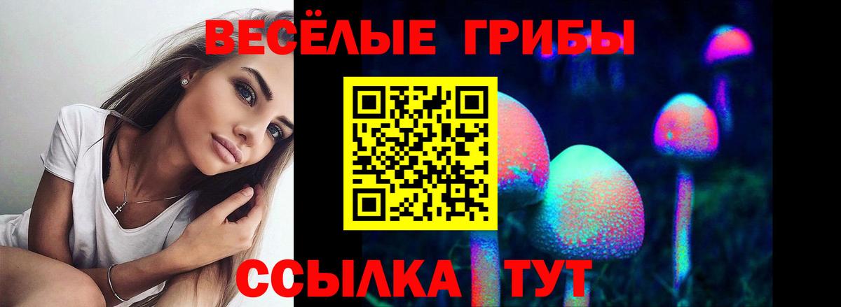 Галлюциногенные грибы мицелий Кудрово